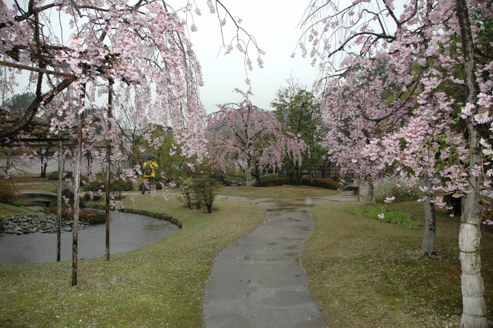 DSC04